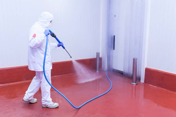 Best Sidewalk and Walkway Cleaning  in Marrero, LA